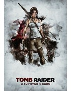 Tomb Raider - Jeux Vidéos