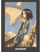 Gunnm / Alita