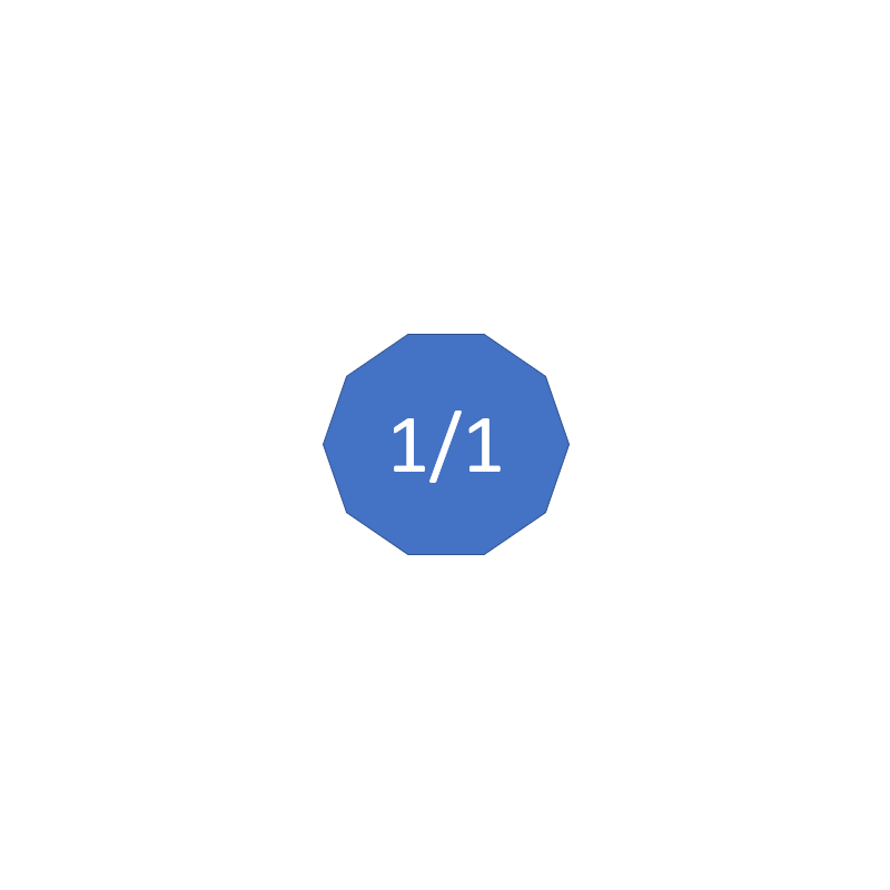 Echelle 1/1 (Réelle)