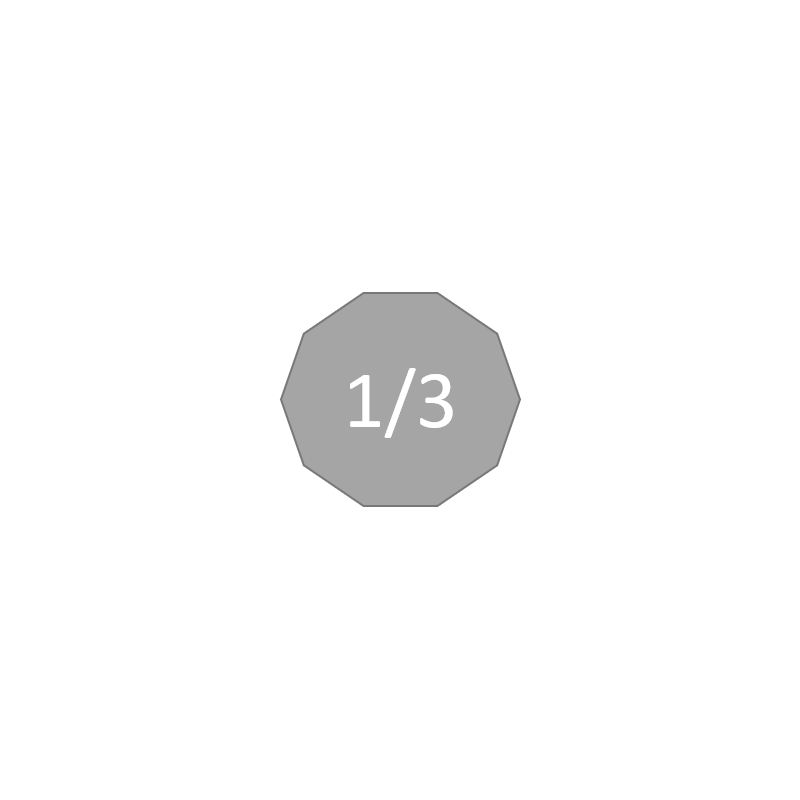 Echelle 1/3 (100cm)