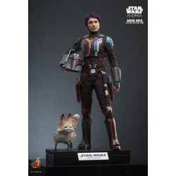 Hot Toys TMS111 Star Wars: Ahsoka Collectible Action Figurine 1/6 Sabine Wren 28cm