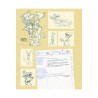 Lillie Roadrunner + Sketchbook Fane - 300ex
