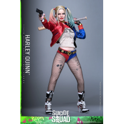 Hot Toys MMS841 Suicide Squad Collectible Action Figurine 1/6 Harley Quinn 29cm