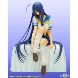 Ikki Tousen : Kanu Unchou - DD Edition DVD Back Jacket Ver. 1:7 Pre-painted PVC Figure