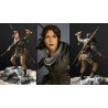 Rise of the Tomb Raider Collector's Edition Xbox One