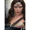 Hot Toys MMS359 Batman v Superman L'Aube de la Justice Wonder Woman Gal Gabot 1/6 Collectible Figurine 29cm