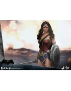 Hot Toys MMS359 Batman v Superman L'Aube de la Justice Wonder Woman Gal Gabot 1/6 Collectible Figurine 29cm