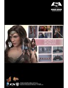 Hot Toys MMS359 Batman v Superman L'Aube de la Justice Wonder Woman Gal Gabot 1/6 Collectible Figurine 29cm