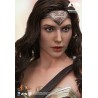 Hot Toys MMS359 Batman v Superman L'Aube de la Justice Wonder Woman Gal Gabot 1/6 Collectible Figurine 29cm