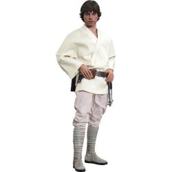 Hot Toys MMS297 Star Wars Ep. IV Un Nouvel Espoir Luke Skywalker Mark Hamill 1/6 Collectible