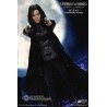 Underworld 2 Evolution Selene Kate Beckinsale 1/6 Collectible Figurine 29.5cm