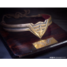Wonder Woman - Tiare à  l'échelle 1/1 limited 008/100ex de Nous sommes des héros (+cadeaux)