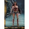 Hot Toys MMS451 Justice League Wonder Woman Gal Gadot Deluxe Version 1/6 Collectible Figurine 29cm