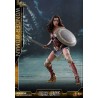 Hot Toys MMS451 Justice League Wonder Woman Gal Gadot Deluxe Version 1/6 Collectible Figurine 29cm