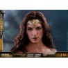 Hot Toys MMS451 Justice League Wonder Woman Gal Gadot Deluxe Version 1/6 Collectible Figurine 29cm