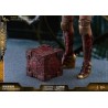 Hot Toys MMS451 Justice League Wonder Woman Gal Gadot Deluxe Version 1/6 Collectible Figurine 29cm