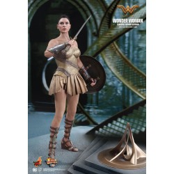 Hot Toys MMS424 Wonder Woman Movie Wonder Woman ( Gal Gabot ) Training Armor Version 1/6 Collectible Figurine 29cm