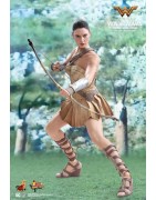 Hot Toys MMS424 Wonder Woman Movie Wonder Woman ( Gal Gabot ) Training Armor Version 1/6 Collectible Figurine 29cm