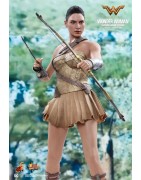 Hot Toys MMS424 Wonder Woman Movie Wonder Woman ( Gal Gabot ) Training Armor Version 1/6 Collectible Figurine 29cm