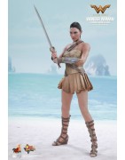 Hot Toys MMS424 Wonder Woman Movie Wonder Woman ( Gal Gabot ) Training Armor Version 1/6 Collectible Figurine 29cm