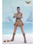 Hot Toys MMS424 Wonder Woman Movie Wonder Woman ( Gal Gabot ) Training Armor Version 1/6 Collectible Figurine 29cm