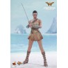 Hot Toys MMS424 Wonder Woman Movie Wonder Woman ( Gal Gabot ) Training Armor Version 1/6 Collectible Figurine 29cm