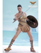 Hot Toys MMS424 Wonder Woman Movie Wonder Woman ( Gal Gabot ) Training Armor Version 1/6 Collectible Figurine 29cm