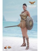 Hot Toys MMS424 Wonder Woman Movie Wonder Woman ( Gal Gabot ) Training Armor Version 1/6 Collectible Figurine 29cm