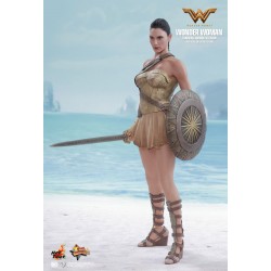 Hot Toys MMS424 Wonder Woman Movie Wonder Woman ( Gal Gabot ) Training Armor Version 1/6 Collectible Figurine 29cm