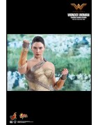 Hot Toys MMS424 Wonder Woman Movie Wonder Woman ( Gal Gabot ) Training Armor Version 1/6 Collectible Figurine 29cm