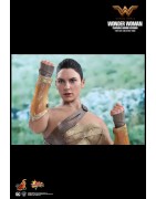 Hot Toys MMS424 Wonder Woman Movie Wonder Woman ( Gal Gabot ) Training Armor Version 1/6 Collectible Figurine 29cm