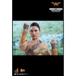 Hot Toys MMS424 Wonder Woman Movie Wonder Woman ( Gal Gabot ) Training Armor Version 1/6 Collectible Figurine 29cm