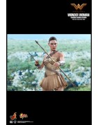 Hot Toys MMS424 Wonder Woman Movie Wonder Woman ( Gal Gabot ) Training Armor Version 1/6 Collectible Figurine 29cm