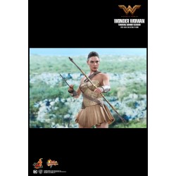 Hot Toys MMS424 Wonder Woman Movie Wonder Woman ( Gal Gabot ) Training Armor Version 1/6 Collectible Figurine 29cm