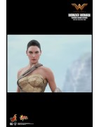 Hot Toys MMS424 Wonder Woman Movie Wonder Woman ( Gal Gabot ) Training Armor Version 1/6 Collectible Figurine 29cm