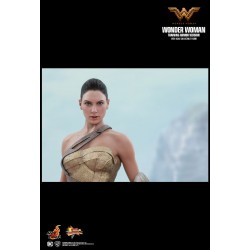 Hot Toys MMS424 Wonder Woman Movie Wonder Woman ( Gal Gabot ) Training Armor Version 1/6 Collectible Figurine 29cm