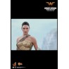 Hot Toys MMS424 Wonder Woman Movie Wonder Woman ( Gal Gabot ) Training Armor Version 1/6 Collectible Figurine 29cm
