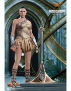Hot Toys MMS424 Wonder Woman Movie Wonder Woman ( Gal Gabot ) Training Armor Version 1/6 Collectible Figurine 29cm