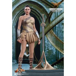 Hot Toys MMS424 Wonder Woman Movie Wonder Woman ( Gal Gabot ) Training Armor Version 1/6 Collectible Figurine 29cm