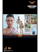 Hot Toys MMS424 Wonder Woman Movie Wonder Woman ( Gal Gabot ) Training Armor Version 1/6 Collectible Figurine 29cm