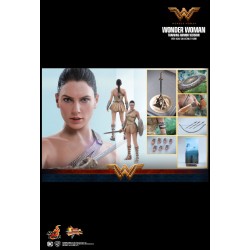 Hot Toys MMS424 Wonder Woman Movie Wonder Woman ( Gal Gabot ) Training Armor Version 1/6 Collectible Figurine 29cm