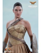 Hot Toys MMS424 Wonder Woman Movie Wonder Woman ( Gal Gabot ) Training Armor Version 1/6 Collectible Figurine 29cm