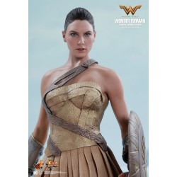 Hot Toys MMS424 Wonder Woman Movie Wonder Woman ( Gal Gabot ) Training Armor Version 1/6 Collectible Figurine 29cm