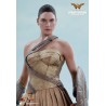 Hot Toys MMS424 Wonder Woman Movie Wonder Woman ( Gal Gabot ) Training Armor Version 1/6 Collectible Figurine 29cm