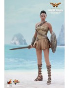 Hot Toys MMS424 Wonder Woman Movie Wonder Woman ( Gal Gabot ) Training Armor Version 1/6 Collectible Figurine 29cm