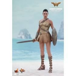 Hot Toys MMS424 Wonder Woman Movie Wonder Woman ( Gal Gabot ) Training Armor Version 1/6 Collectible Figurine 29cm