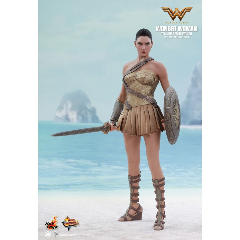 Hot Toys MMS424 Wonder Woman Movie Wonder Woman ( Gal Gabot ) Training Armor Version 1/6 Collectible Figurine 29cm