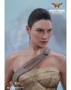 Hot Toys MMS424 Wonder Woman Movie Wonder Woman ( Gal Gabot ) Training Armor Version 1/6 Collectible Figurine 29cm