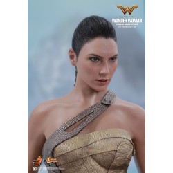 Hot Toys MMS424 Wonder Woman Movie Wonder Woman ( Gal Gabot ) Training Armor Version 1/6 Collectible Figurine 29cm