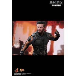 Hot Toys MMS264 X-Men Days of Future Past Wolverine ( Hugh Jackman ) 1/6 Collectible Figurine 30cm